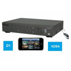 Dvr 16 canale Standalone H264 WS-5316